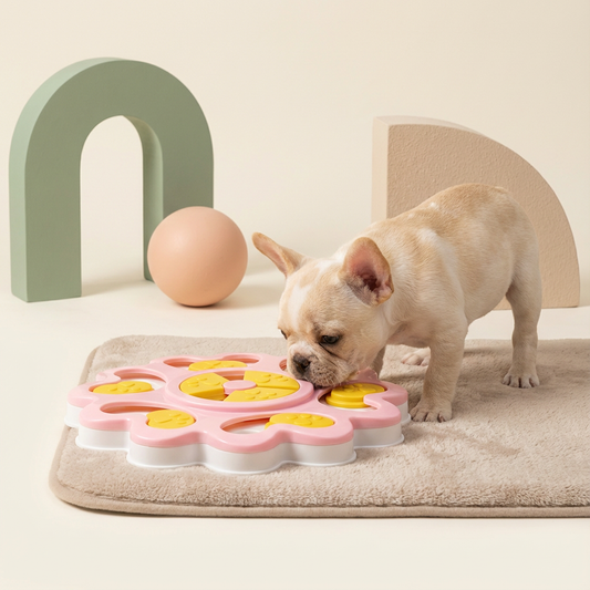 Small dog interacting with the Pawmimi Puzzle Feeder Toy on a cozy mat.